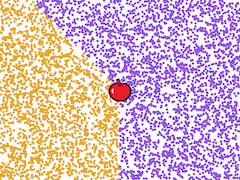 Apple at center of stage. The area around the apple on the left side between south (downward) and northwest (up and to the left) is orange. The area between south and northwest but on the right is purple.