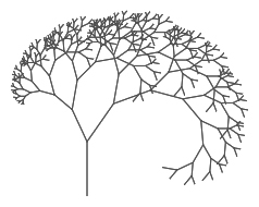 picture of fractal tree